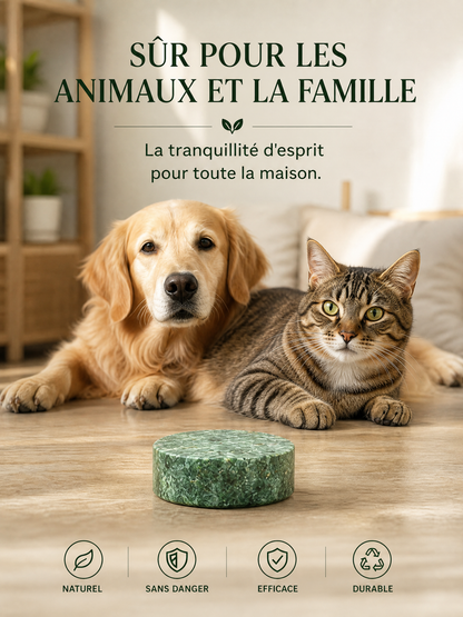 Pilule répulsive pour rongeurs